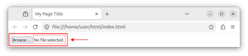 HTML form with the default file input control.