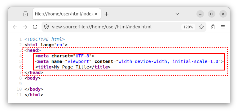 HTML metadata inside the head section.