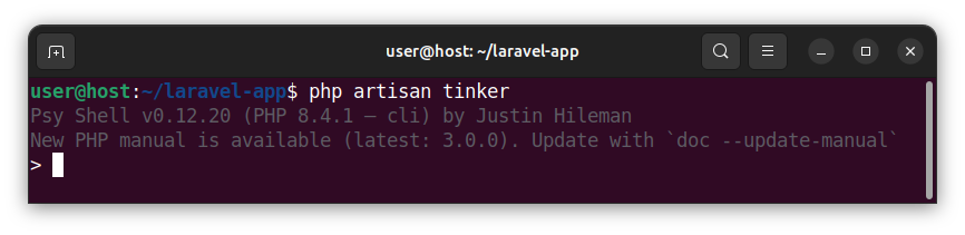 Starting the Tinker tool in Laravel.