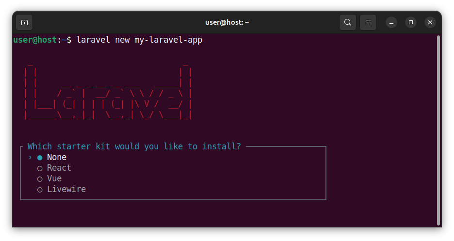 Creating a Laravel project - the starter kit dialog option