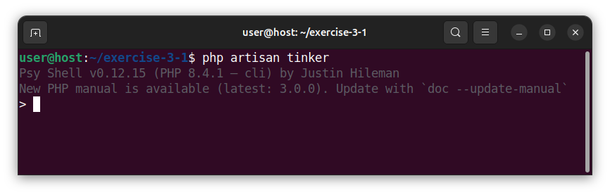 Starting a tinker command-line tool on Linux.