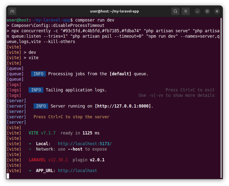 Laravel project - starting a local server by running the Composer script
