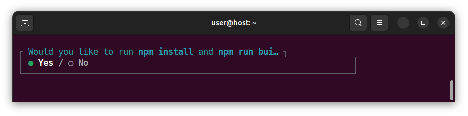 Laravel installer - the npm installation dialog