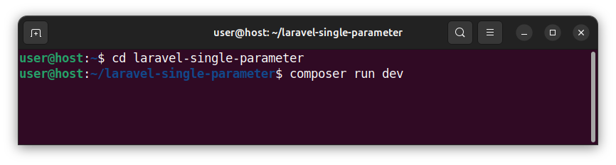 Navigating to the Laravel app folder and starting a local server.