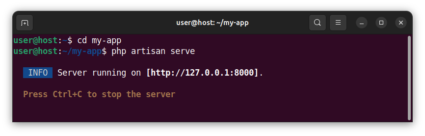 Starting a local development server using the php artisan serve command.