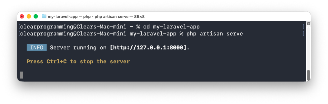 Stopping the development server for the Laravel app.