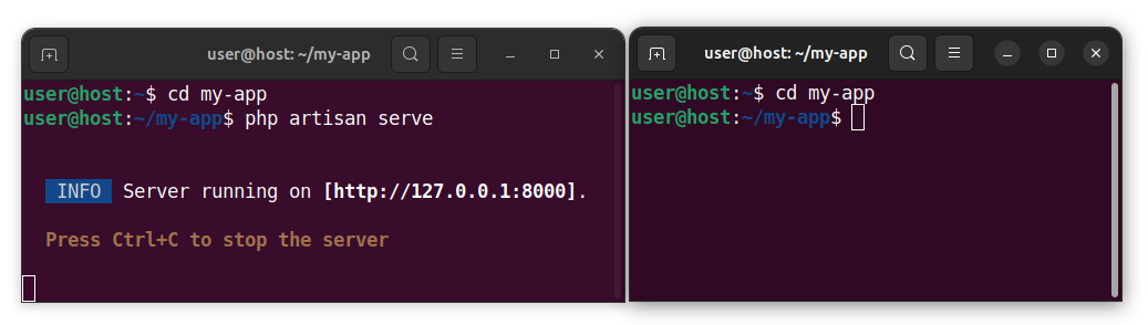 Keeping two terminal windows open while developing a Laravel project.