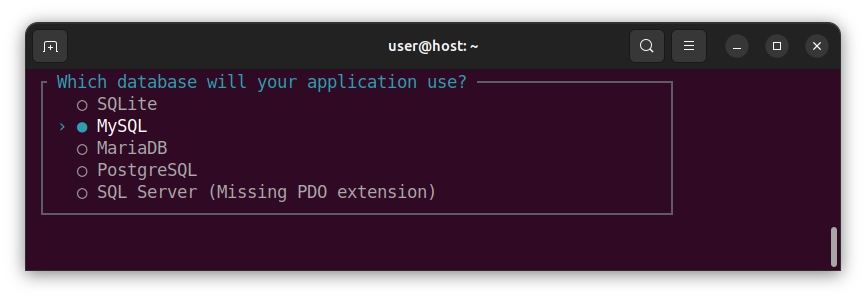 Laravel installation dialog - database choice